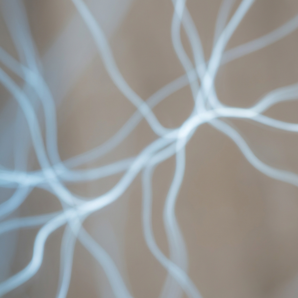 The Science of Breathing - breathwork research - Image 2: An abstract and aesthetic representation of calm and biological regulation. Soft blue and white light patterns.