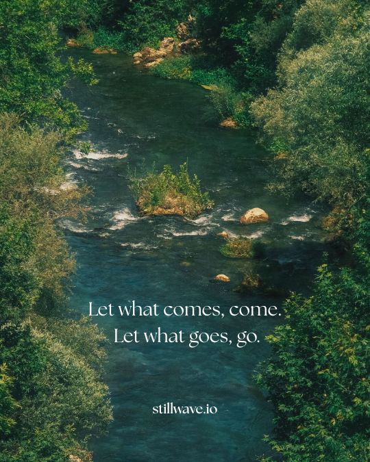 Let what comes, come. Let what goes, go.